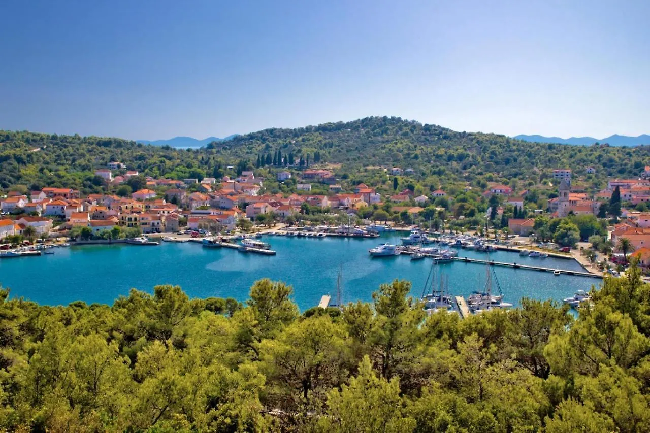 Apartment In Poljana With Sea View, Terrace, Air Conditioning, Wifi 3617-4 Kroatien